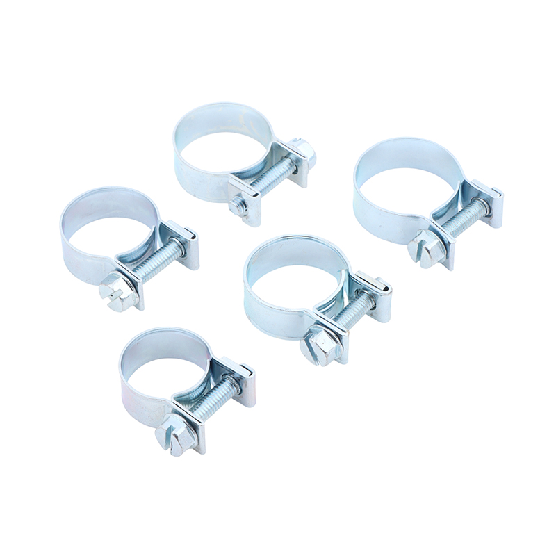 Jubilee Hose Clips 10Pcs Set f - Hose Clamp Assorted review and price