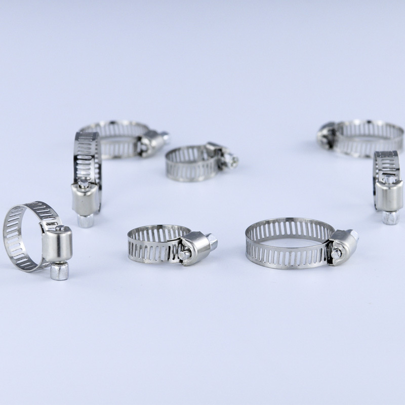 40/50Pcs Stainless Steel Hose  - Hose Clamp Assorted review and price